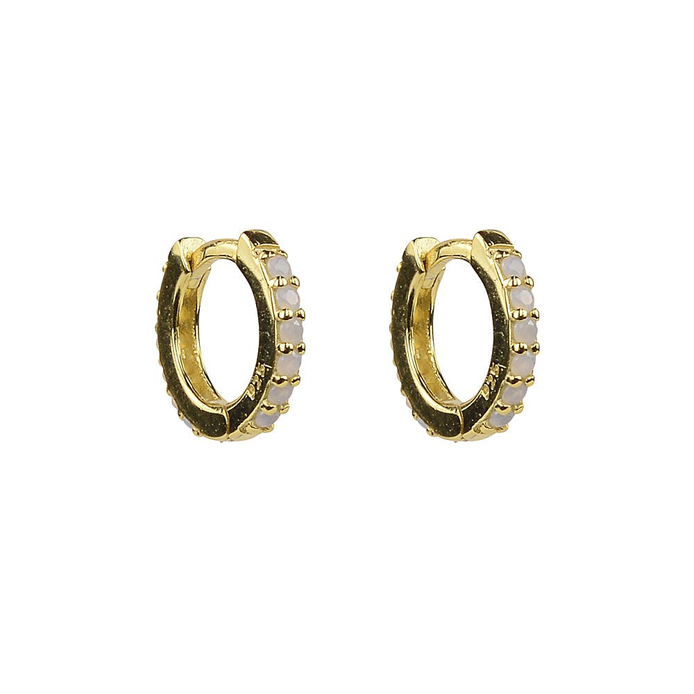 Coloured Huggie Earrings in 925 Sterling SilverEarrings