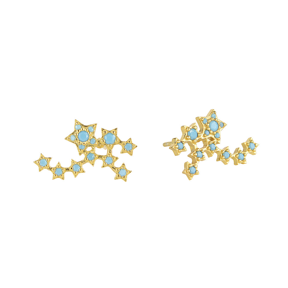 Constelation Celestial star cluster 925 sterling silver Stud earrings