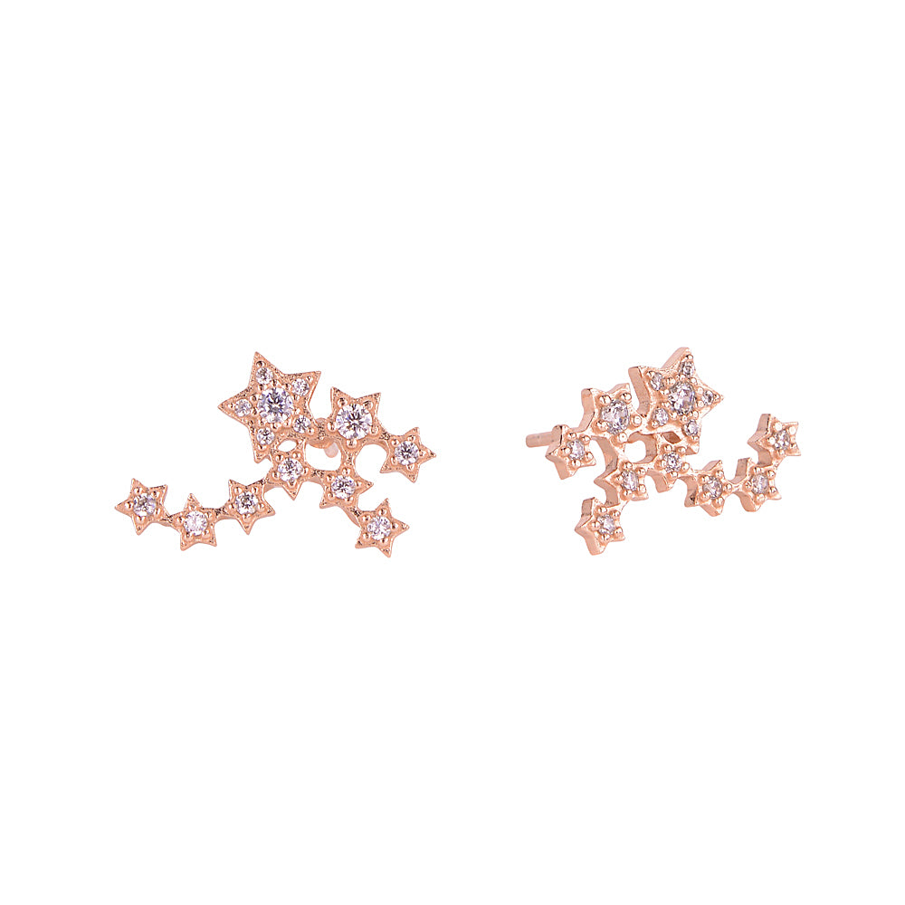 Constelation Celestial star cluster 925 sterling silver Stud earrings